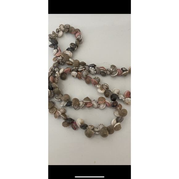 Seashell Necklace 28”Tiny Sundial & Nutmeg Shells No clasp - Picture 4 of 7
